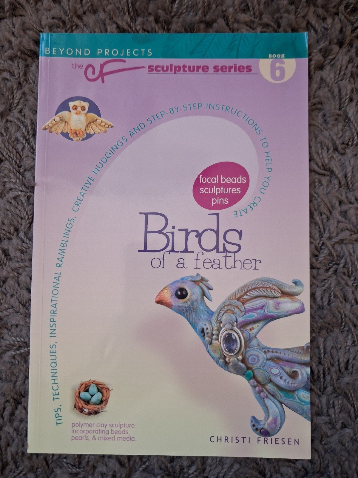 Birds of a Feather: Polymer Clay Sculptuur Boek, Ophalen of Verzenden, Zo goed als nieuw, Overige onderwerpen, Christi Friesen