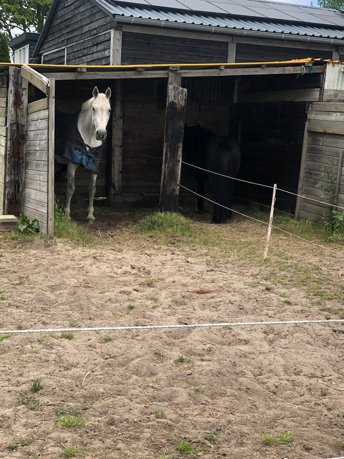 Gevraagd:stalmat voor in mijn schuilstal!, Dieren en Toebehoren, Stalling en Weidegang, 1 paard of pony