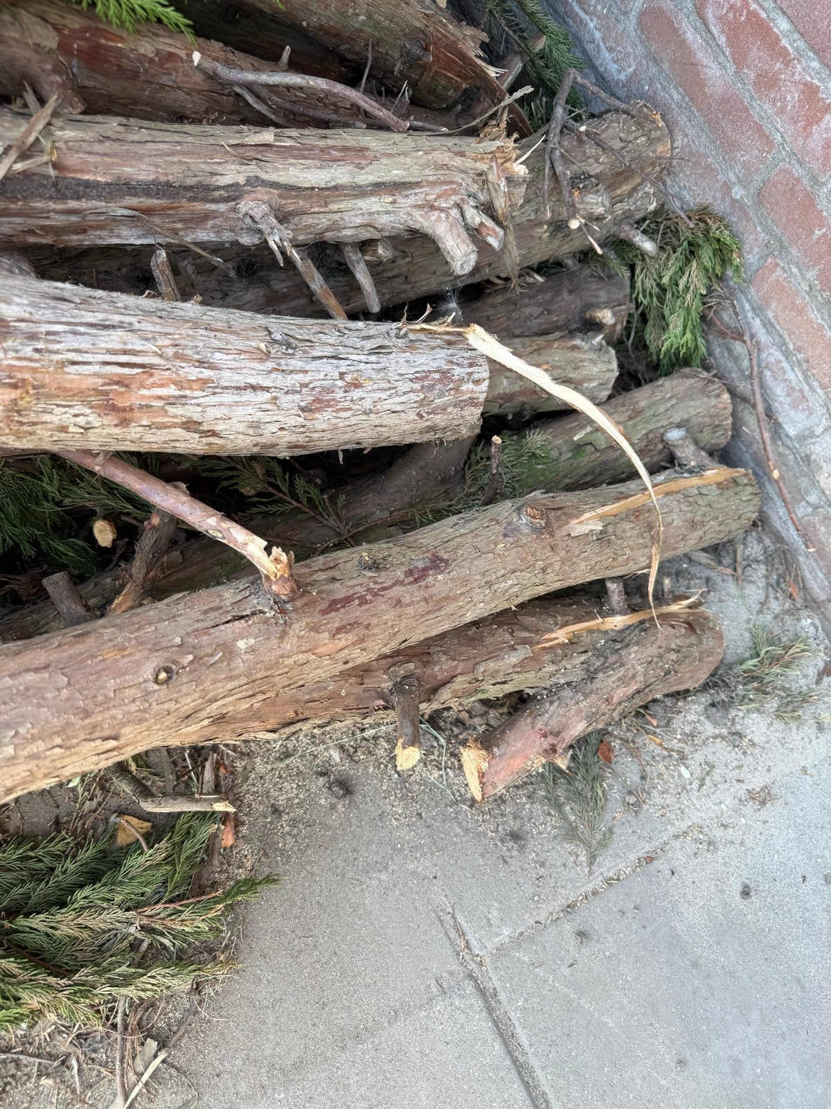 Gratis haardhout ophalen in Ridderkerk, Tuin en Terras, Minder dan 3 m³, Ophalen of Verzenden, Overige houtsoorten, Blokken
