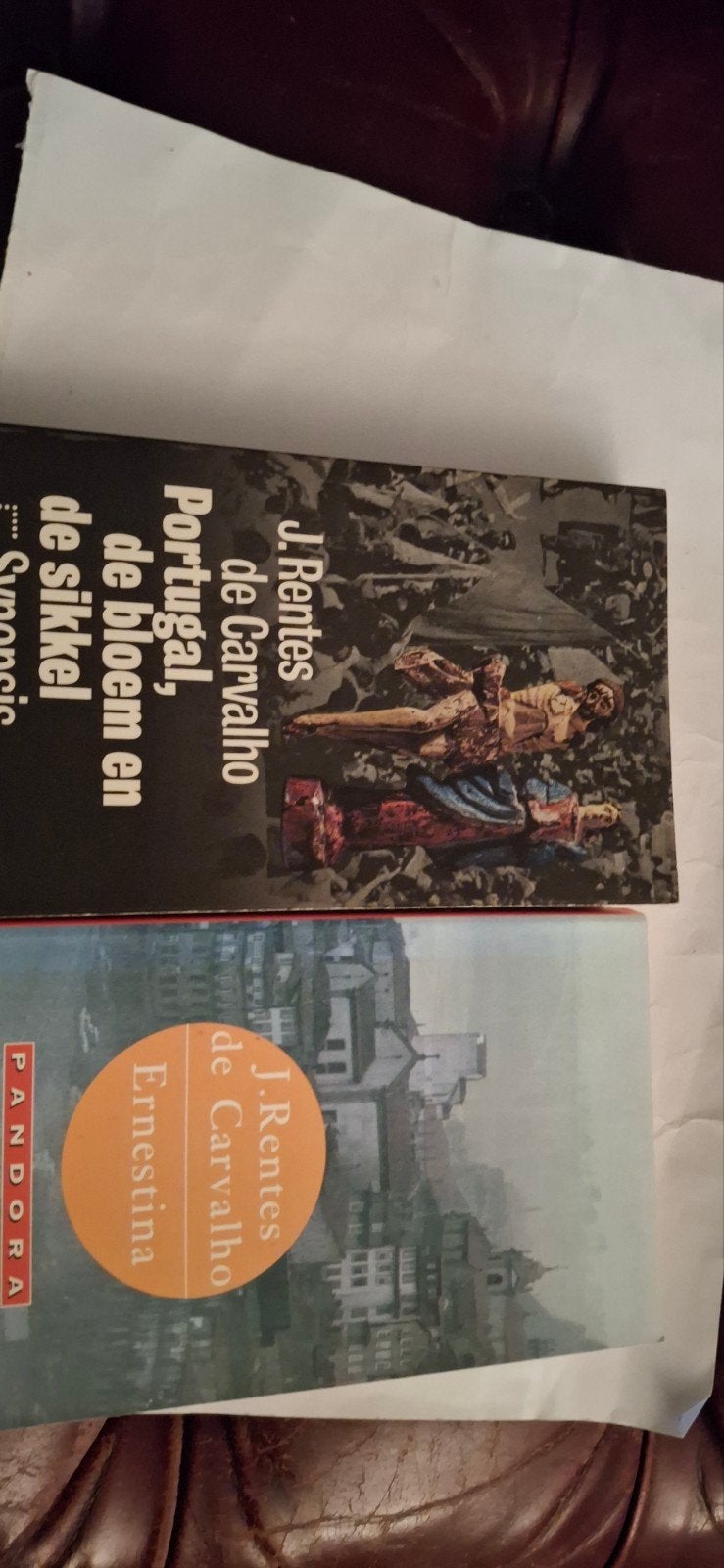 J. Rentes de Carvalho - Ernestina & Portugal, Boeken, Ophalen of Verzenden, Gelezen, J. Rentes de Carvalho, Europa overig