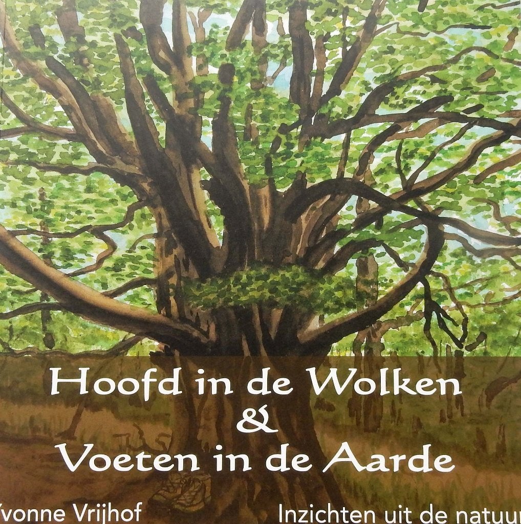 Hoofd in de wolken, voeten in de aarde - Y. Vrijhof, Achtergrond en Informatie, Spiritualiteit algemeen, Verzenden, Uitgeverij heks en kruid