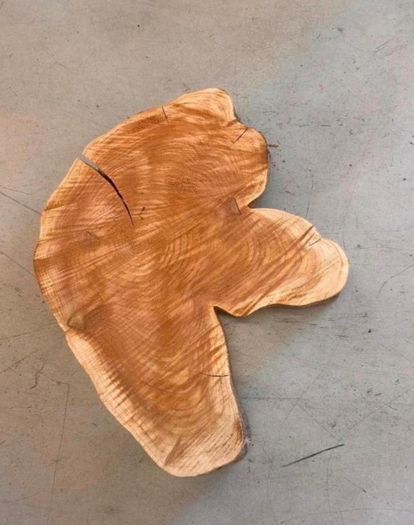 Unieke houten schijf - puur natuur, Hout, Nieuw, Ophalen of Verzenden, Landelijk