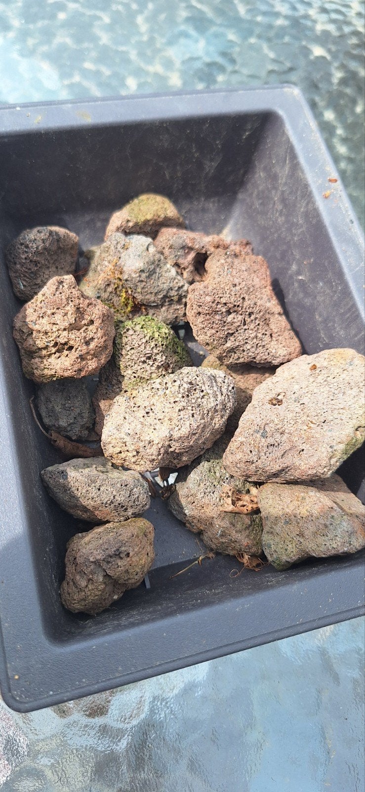 Lava stenen voor bonsai of decoratie, Tuin en Terras, Ophalen of Verzenden