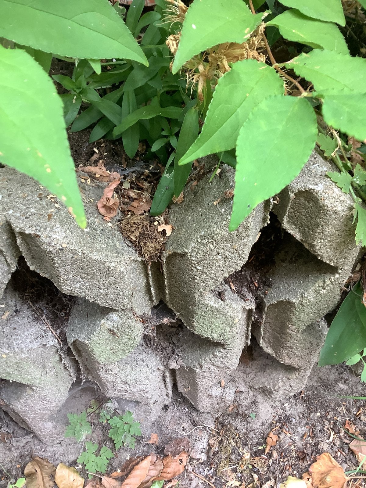 8 stuks betonnen blokken voor tuin of border, Ophalen, Gebruikt, Beton, Blok