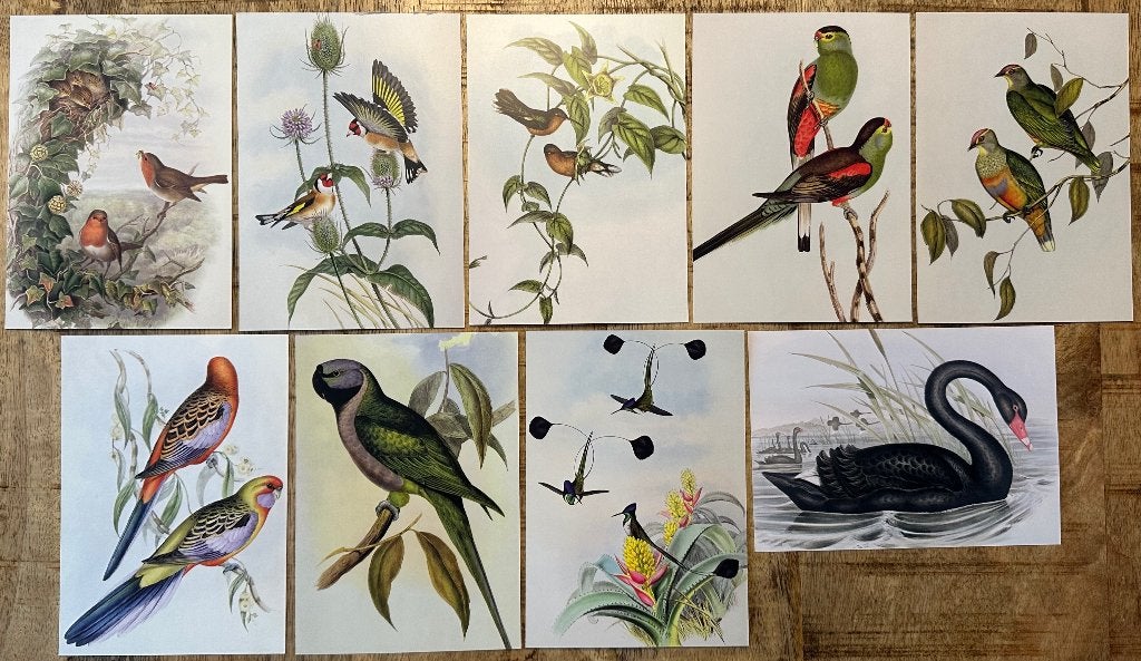 0011  JOHN GOULD ~ 9 kaarten met vogels (1), Ophalen of Verzenden, 1980 tot heden, Ongelopen, Overige thema's