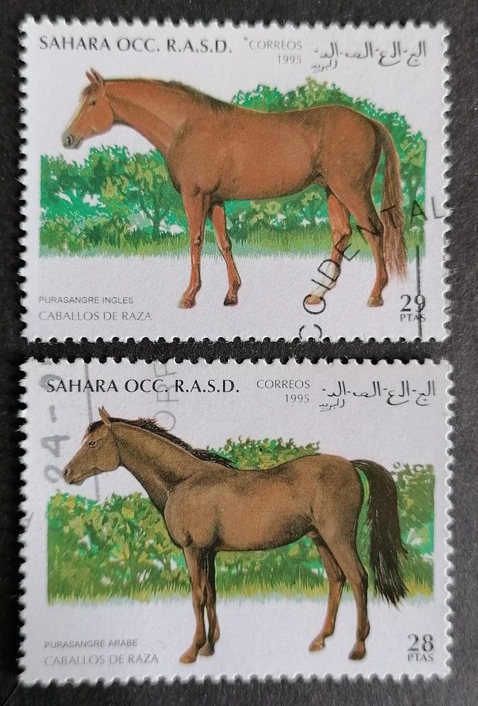 WESTELIJKE SAHARA - paarden 1995, Verzenden, Gestempeld, Midden-Oosten