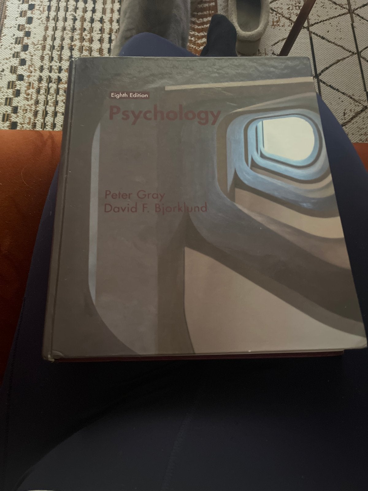 Psychology - Eighth Edition - Peter Gray & David F. Bjorklun, Ophalen of Verzenden, Gamma, Zo goed als nieuw, WO