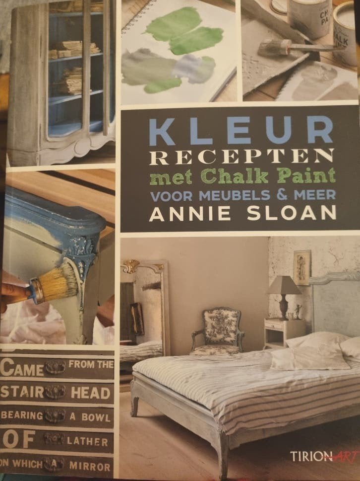 Boek: Kleurrecepten met Chalk Paint - Annie Sloan, Ophalen of Verzenden, Zo goed als nieuw, Annie Sloan