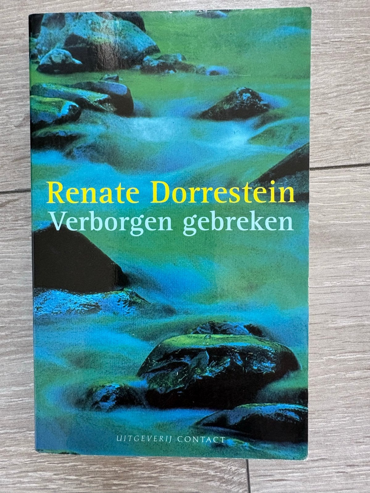 Renate Dorrestein - Verborgen gebreken, Boeken, Ophalen of Verzenden, Zo goed als nieuw, Renate Dorrestein