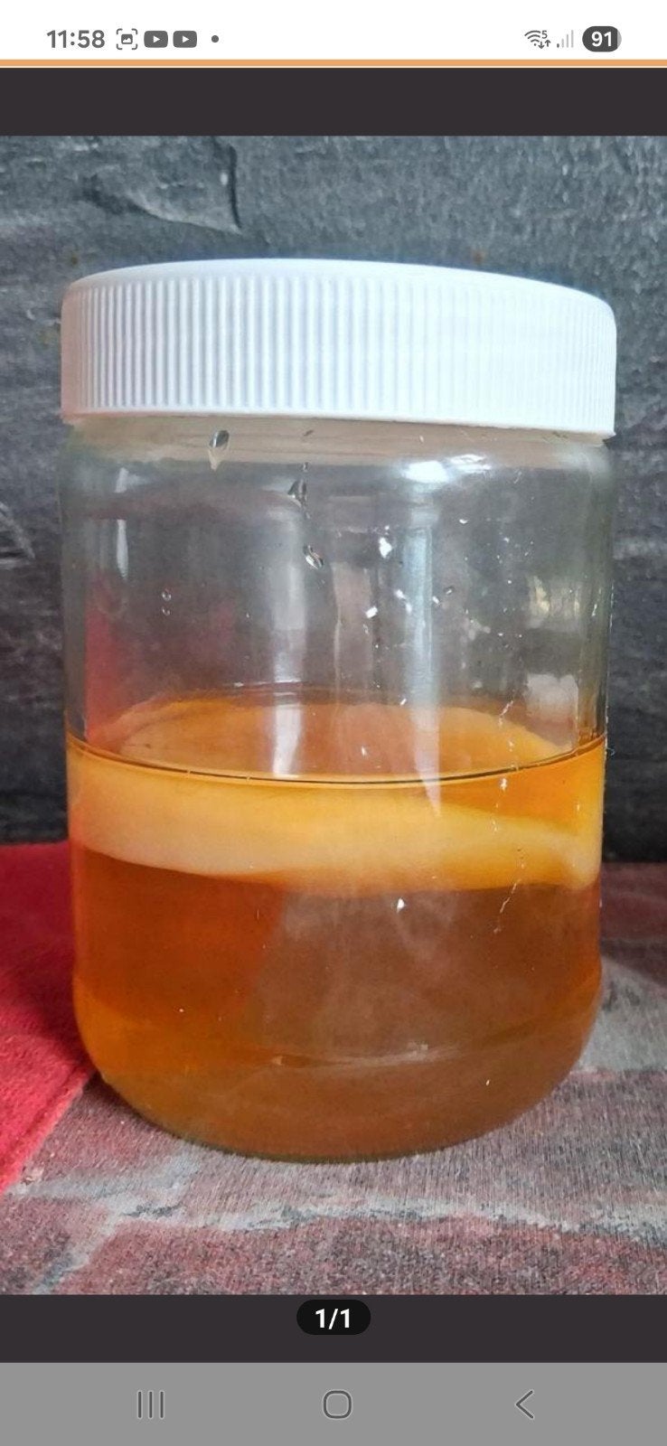 scoby voor kombucha drank, Ophalen