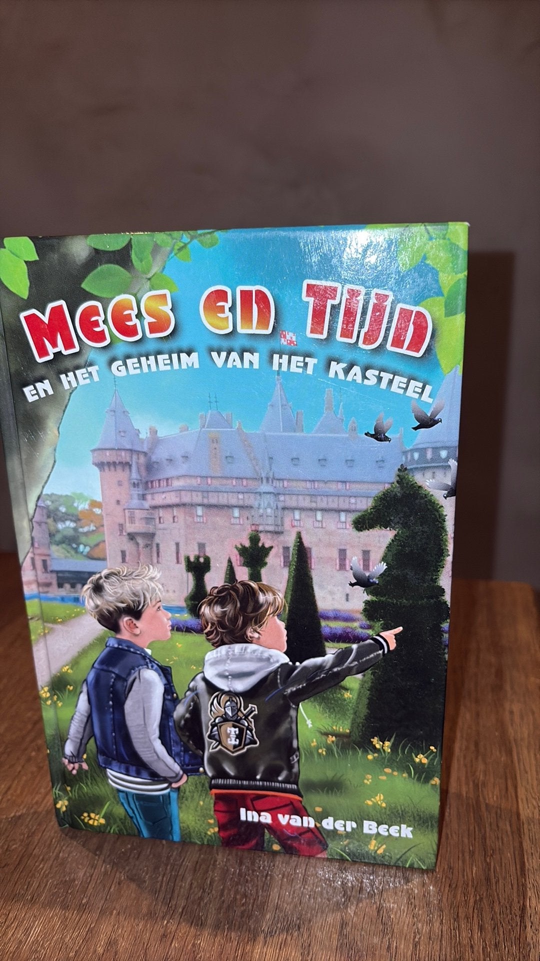 Ina van der Beek Mees en Tijn en het geheim van het kasteel, Boeken, Ophalen of Verzenden, Gelezen, Fictie algemeen