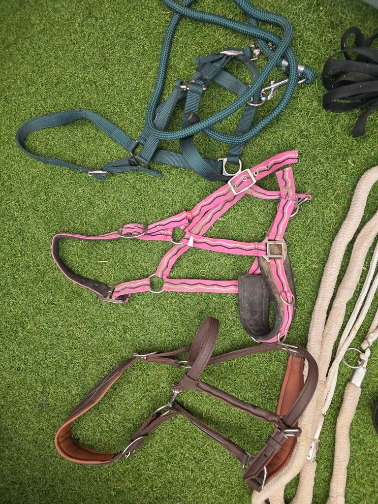 Nekrobe. Halsters. Singels. Beugelriemen, Dieren en Toebehoren, Ophalen, Zo goed als nieuw, Overige soorten