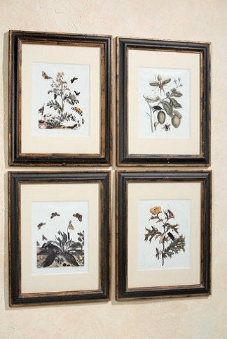 Mooie Prent in mooie Lijst, met vlinders, insecten, bloemen, 50 – 75, Minder dan 50 cm, Nieuw, Ophalen of Verzenden