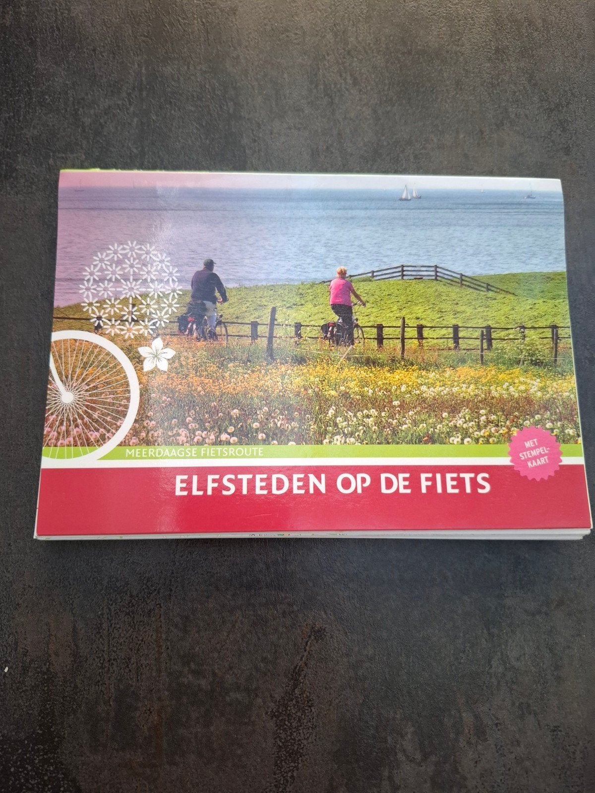 Diederik Mönch - Elfsteden op de fiets, Elfsteden fietsroute, Overige merken, Fiets- of Wandelgids, Ophalen of Verzenden, Zo goed als nieuw