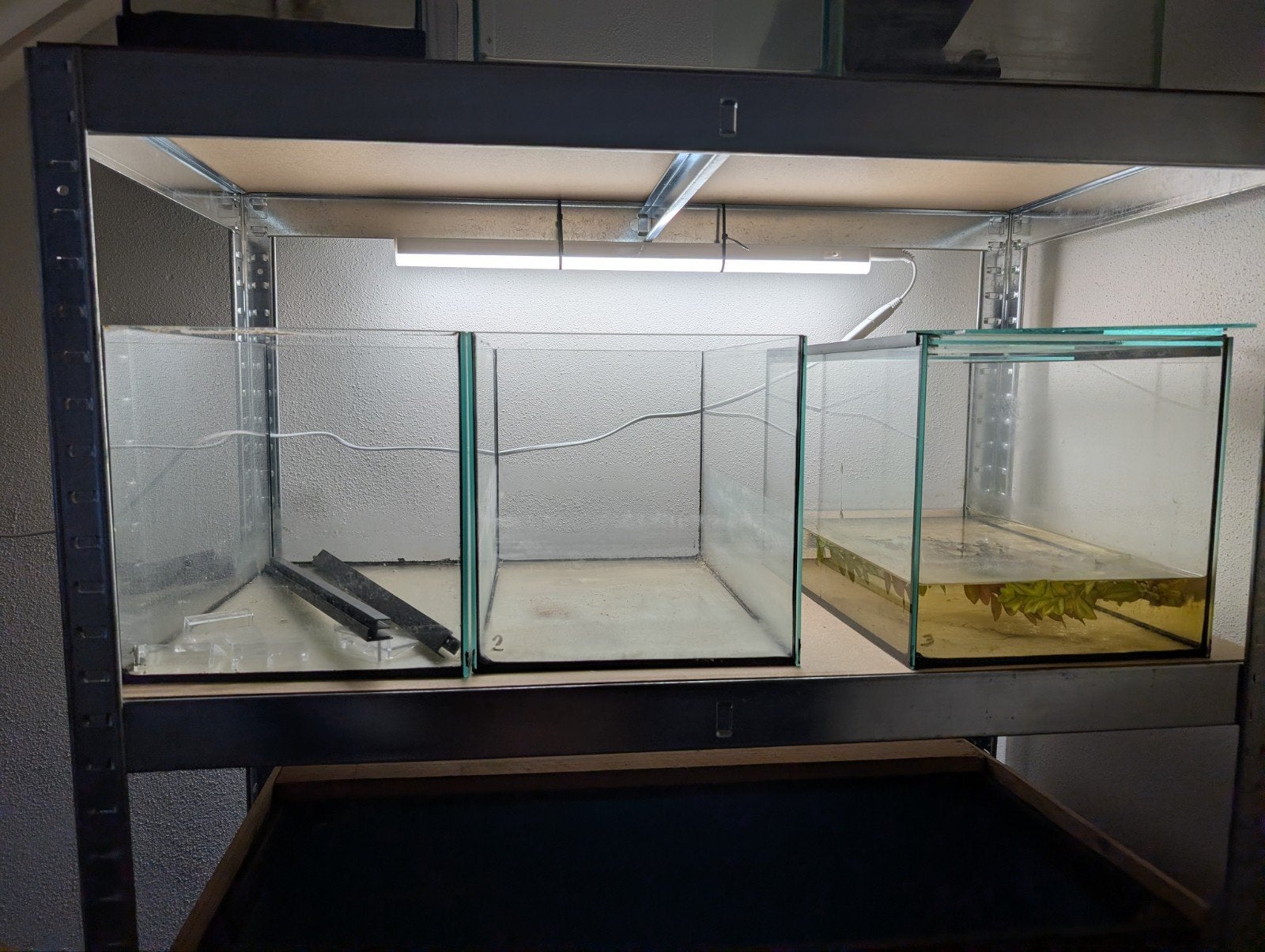 4x kweekbakjes, Dieren en Toebehoren, Ophalen, Gebruikt, Leeg aquarium