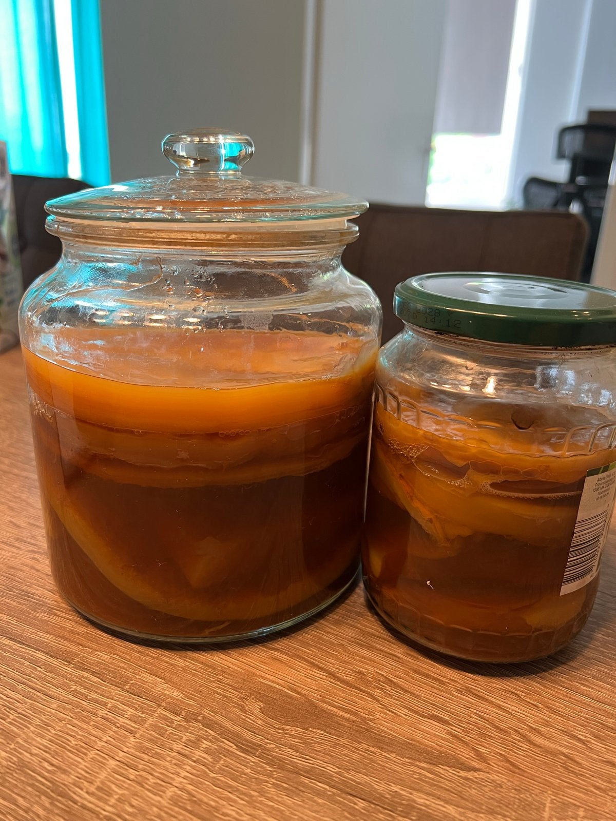 SCOBY Kombucha te koop – Perfect voor zomerse brouwsels!, Ophalen