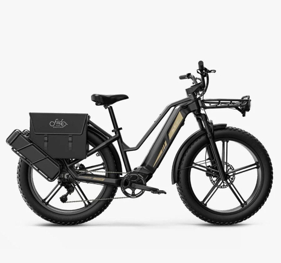 Fiido Titan Tourbike, Ophalen, Zo goed als nieuw, 50 km per accu of meer, Overige merken