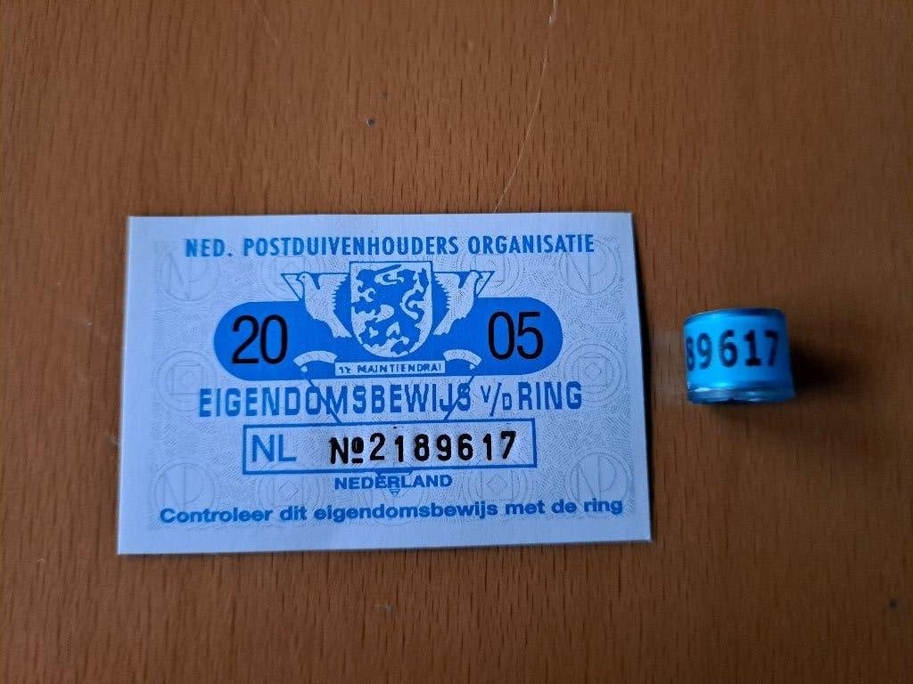 Duivenring met bewijs 2005 postduiven, Ophalen of Verzenden, Paard, Beeldje of Figuurtje