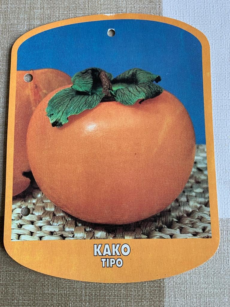 Kaki boompje in pot, Tuin en Terras, Planten | Bomen, Leiboom, Halfschaduw, 100 tot 250 cm, Zomer