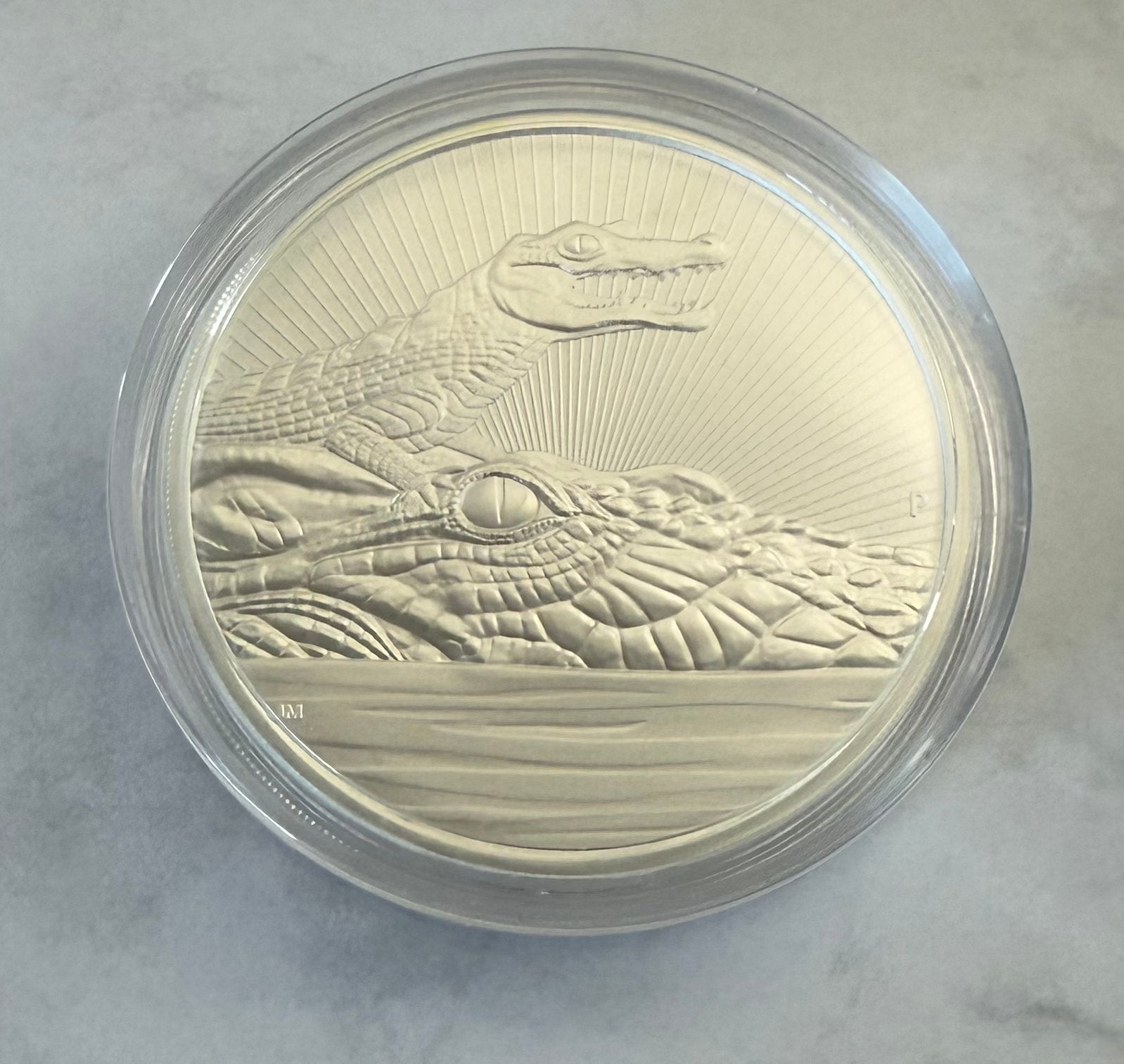10oz 2019 The Next Generation - Crocodile / 999 zilver, Ophalen of Verzenden, Losse munt, Zilver
