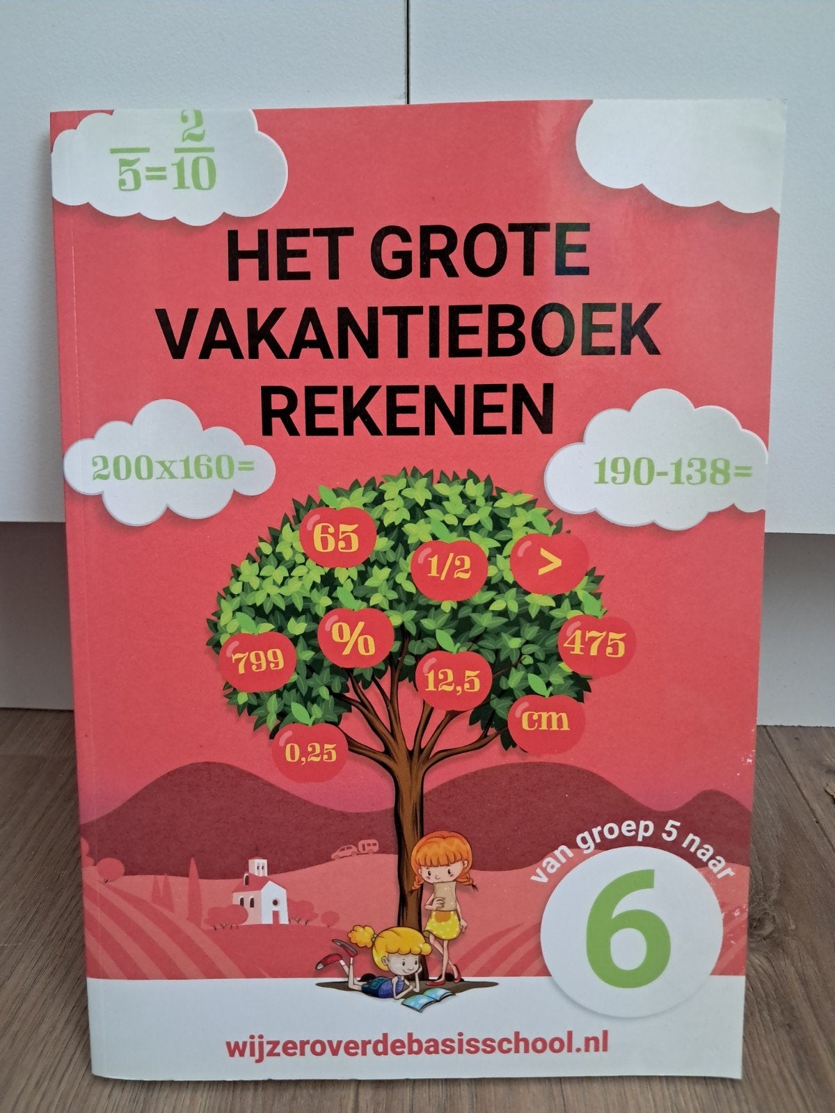 Vakantieboek rekenen van groep 5 naar 6, Boeken, Ophalen of Verzenden, Nieuw, Overige niveaus, Overige vakken