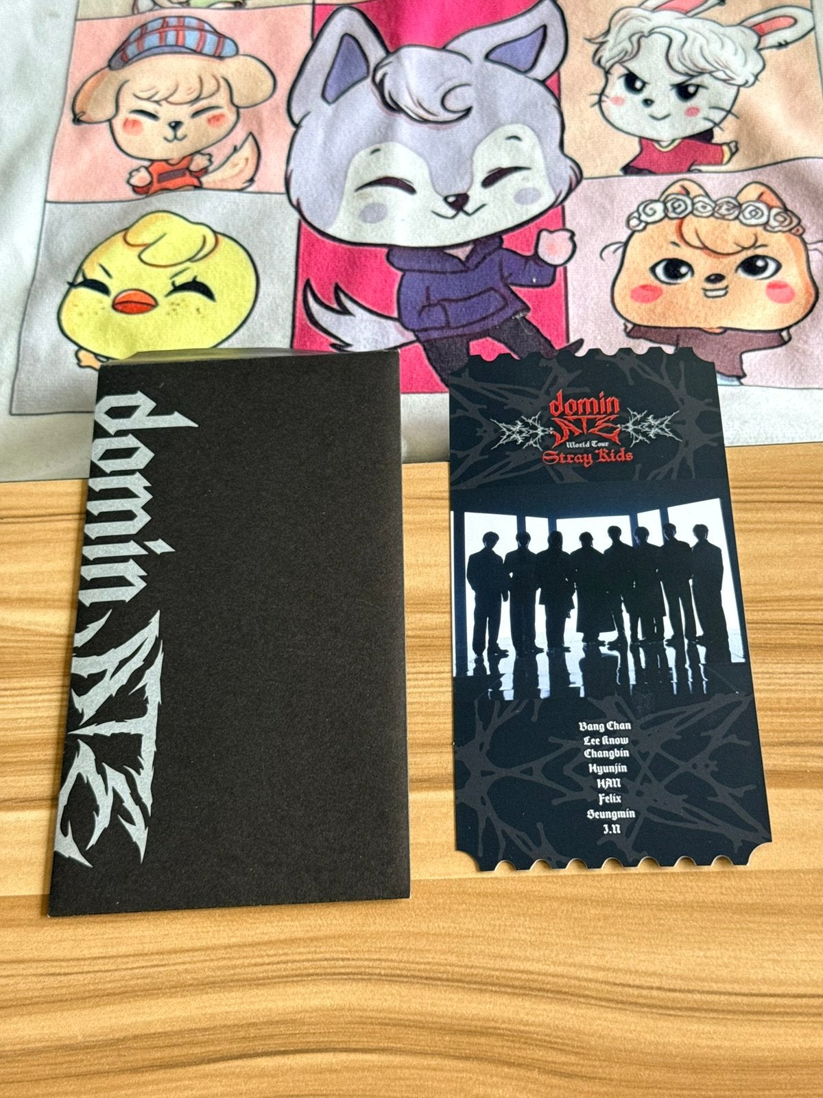 Stray Kids Dominate souvenir ticket, Ophalen of Verzenden, Zo goed als nieuw, Foto of Kaart