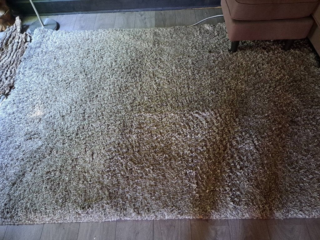 Kleed (hoogpolig), Ophalen, Rechthoekig, 200 cm of meer, 150 tot 200 cm