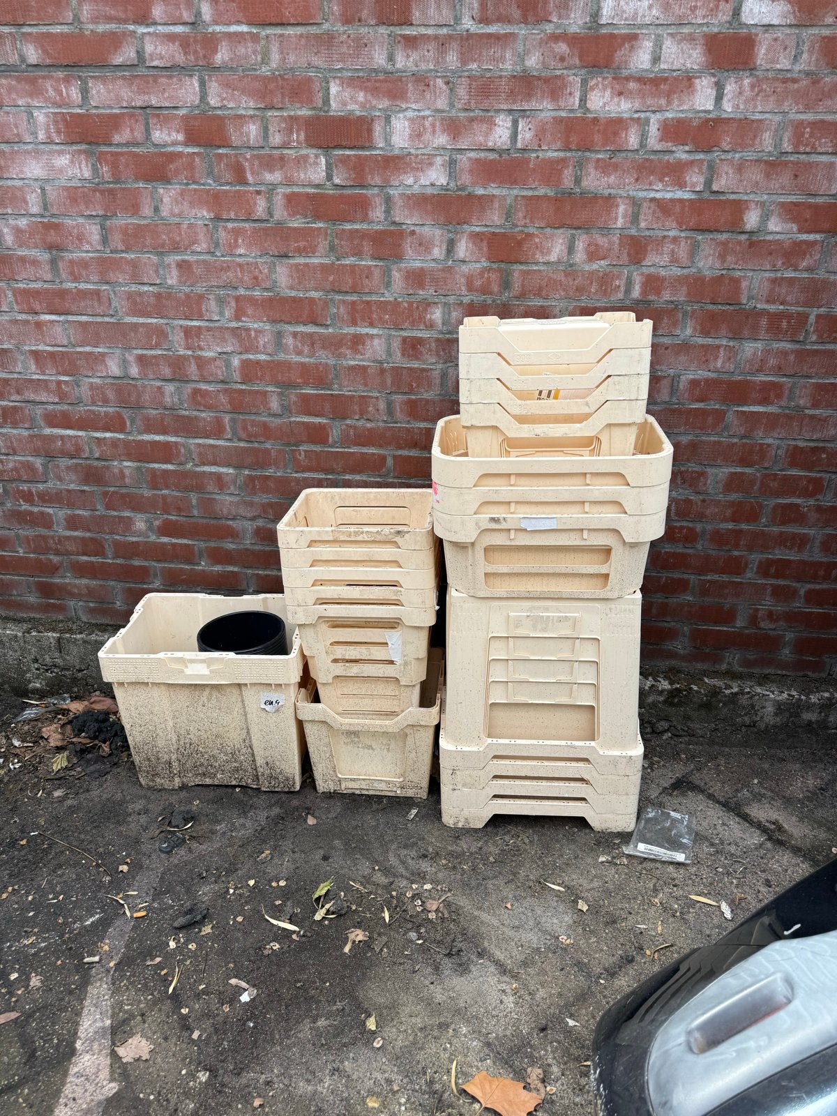 Bloemveiling bakken - Diverse maten, Ophalen, Gebruikt, 40 tot 60 cm, 50 tot 75 cm