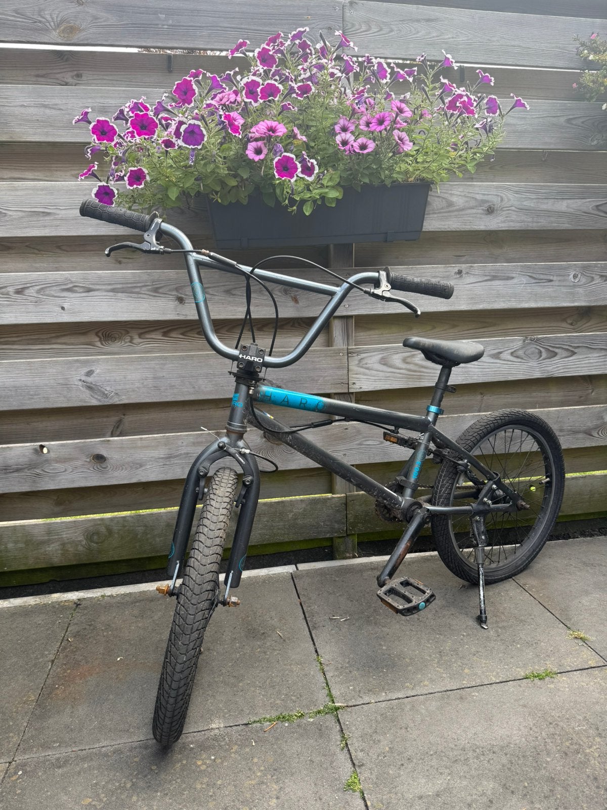 Te Koop Haro crossfiets, Ophalen, 24 inch of meer, Gebruikt, Staal