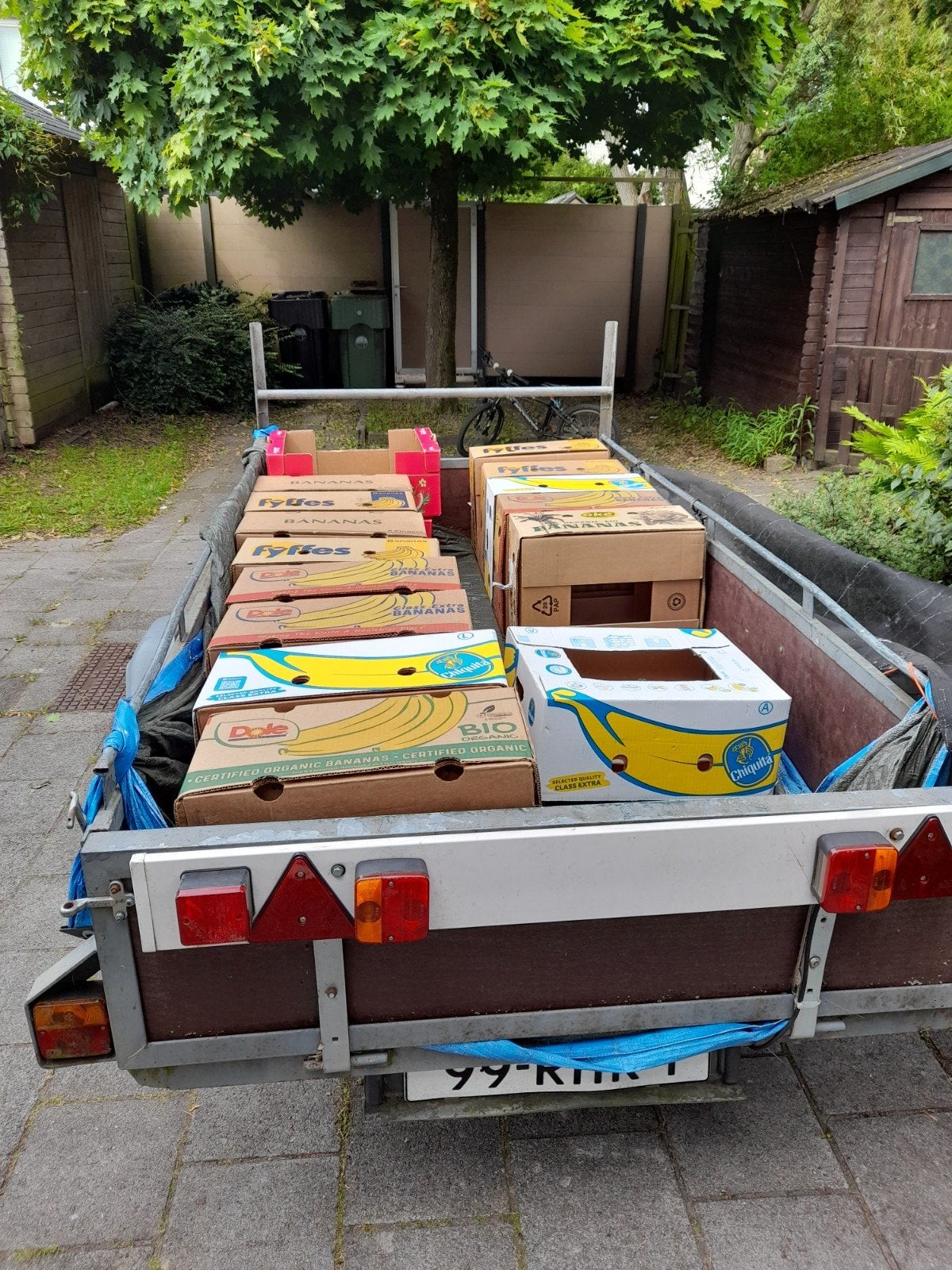 Bananendozen, Ophalen, Doos, 40 tot 60 cm, 50 tot 75 cm