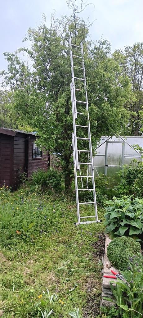 Ladder 3 delig, Doe-het-zelf en Verbouw, Ladders en Trappen, Gebruikt, Ophalen of Verzenden, Ladder, Opvouwbaar of Inschuifbaar