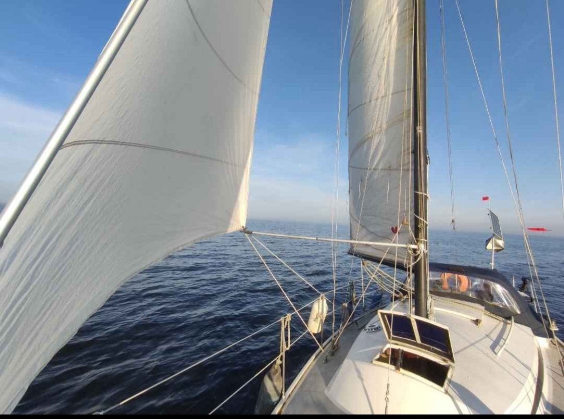 Leuke zeilboot wibo 8,35 van der stadt, Watersport en Boten, Ophalen, Diesel, Zo goed als nieuw, Polyester