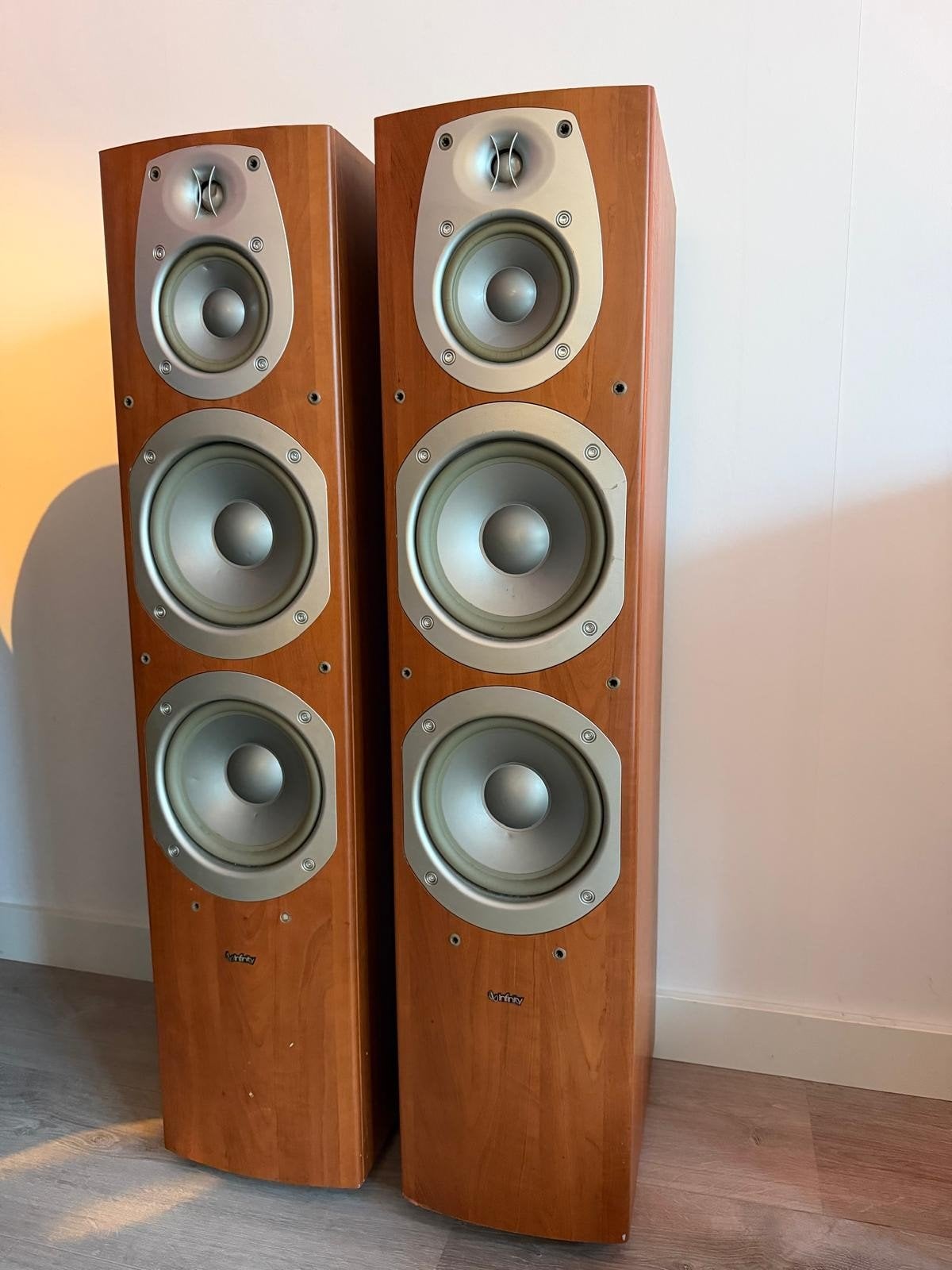 Infinity Beta 50 vloerstaande luidsprekers – set van 2, Audio, Tv en Foto, Vloerstaande luidspreker, Gebruikt, Ophalen, 150 watt of meer