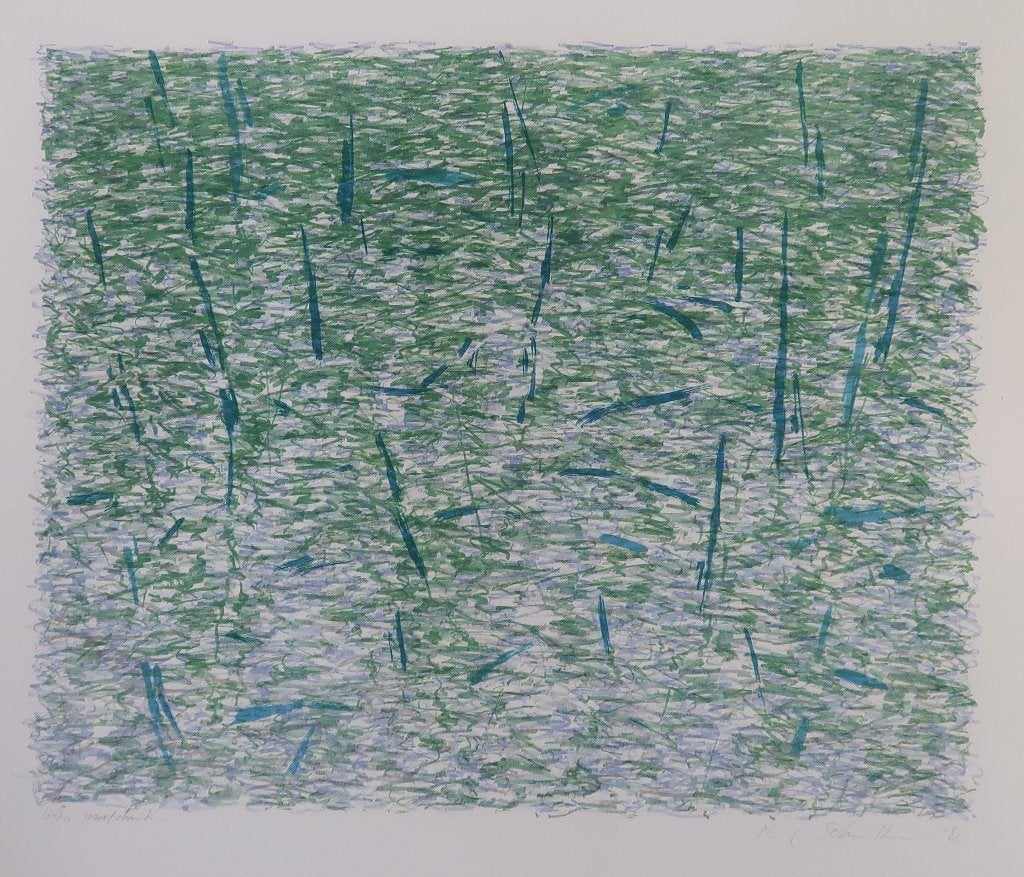 Litho Marian Schulte 40x32 Amsterdamse kunstenaar  Grafiek, Antiek en Kunst, Kunst | Litho's en Zeefdrukken, Ophalen of Verzenden