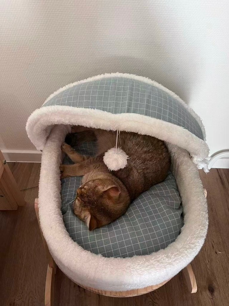 cat cradle, Dieren en Toebehoren, Ophalen, Zo goed als nieuw, Overig speelgoed