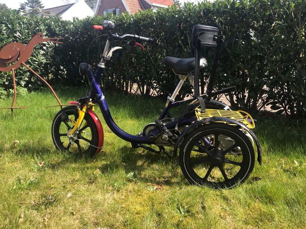 Van Raam driewieler met lichte trapondersteuning, Fietsen en Brommers, Fietsen | Driewielfietsen, Ophalen, Gebruikt