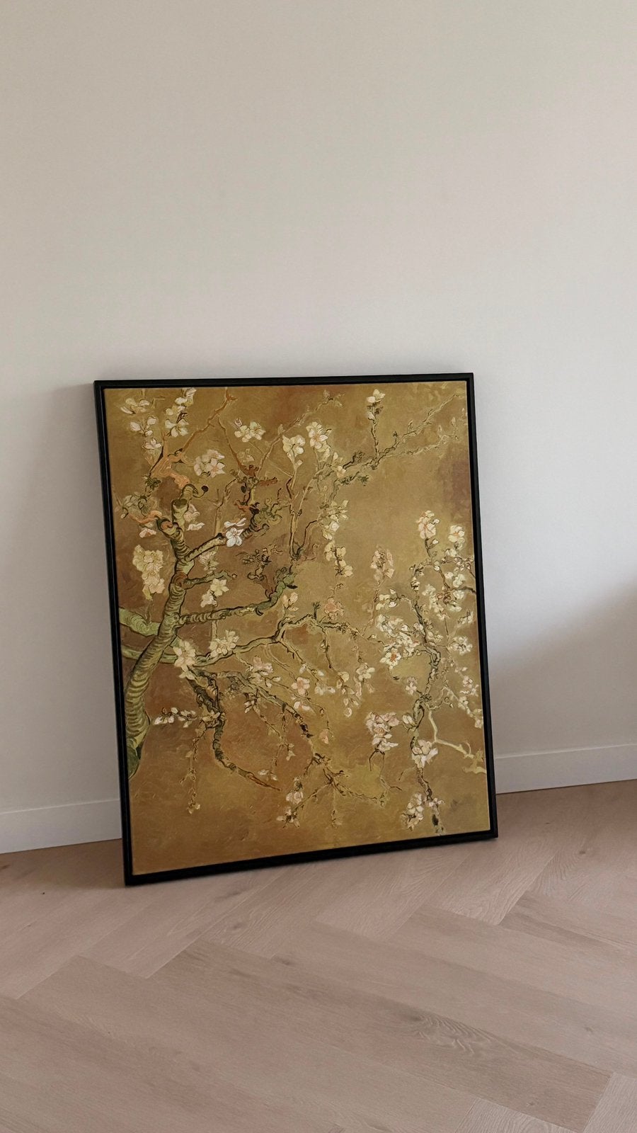 Canvas Amandelbloesem Vincent van Gogh met zwarte baklijst, Ophalen