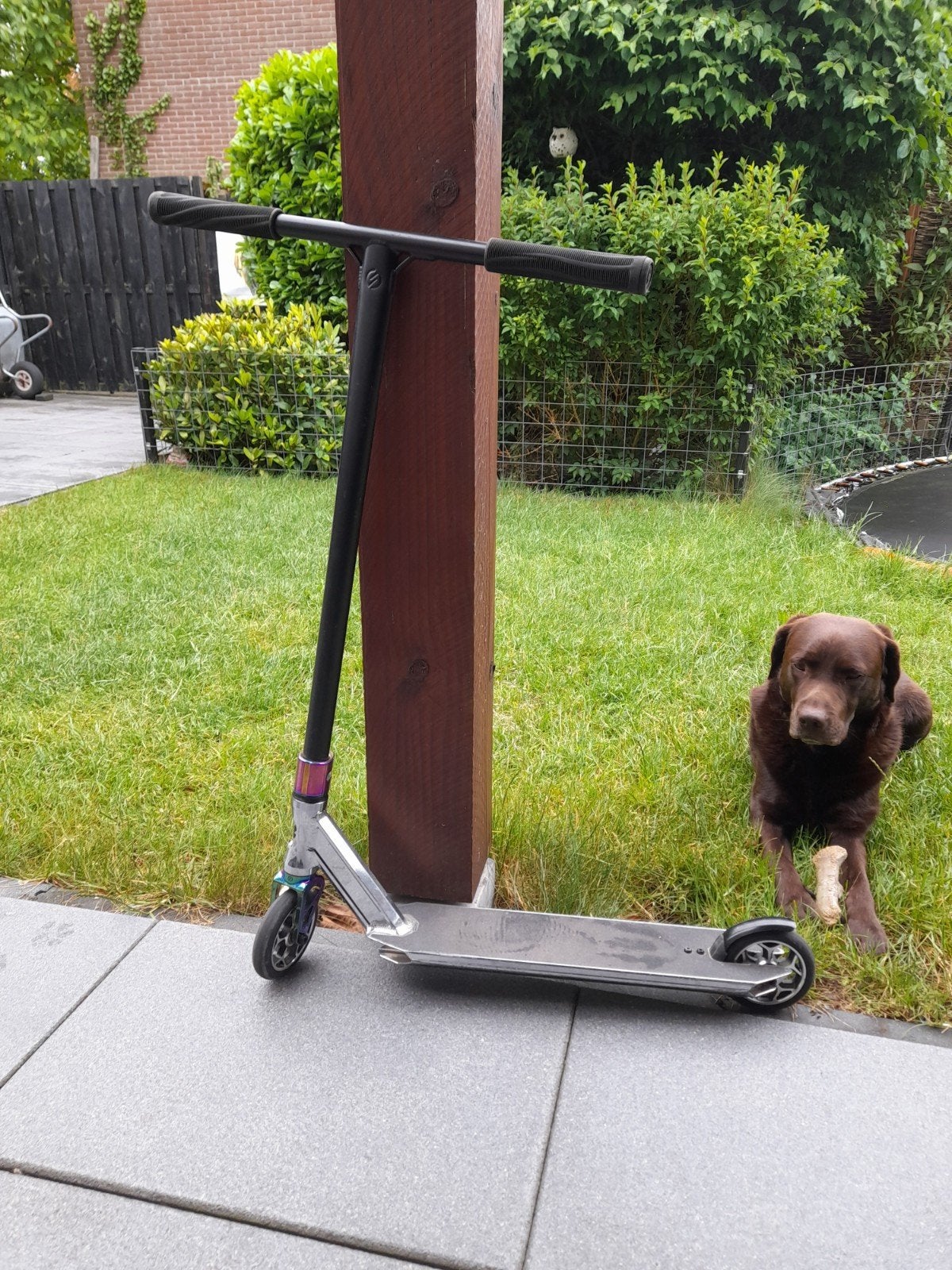 Oxelo Stuntstep, Fietsen en Brommers, Steps, Ophalen, Gebruikt, Gewone step, Oxelo