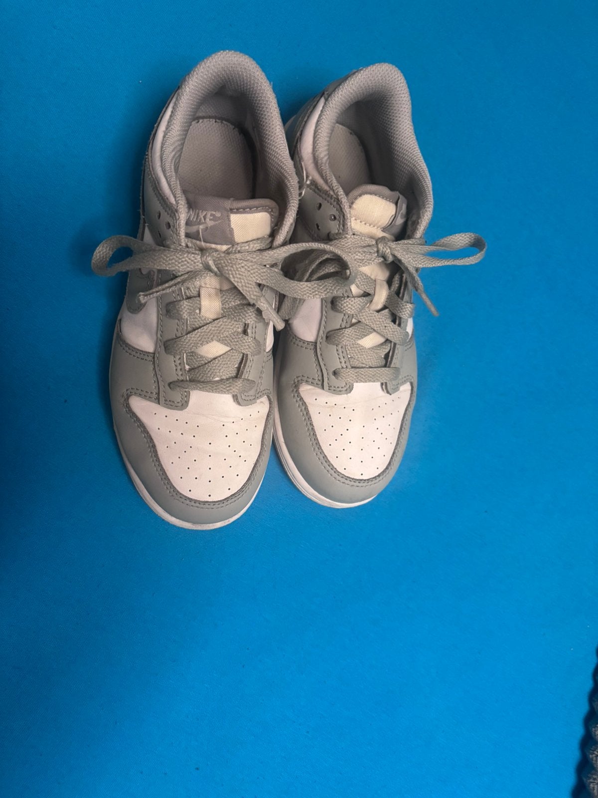 Nike dunk, Ophalen of Verzenden, Zo goed als nieuw, Jongen of Meisje