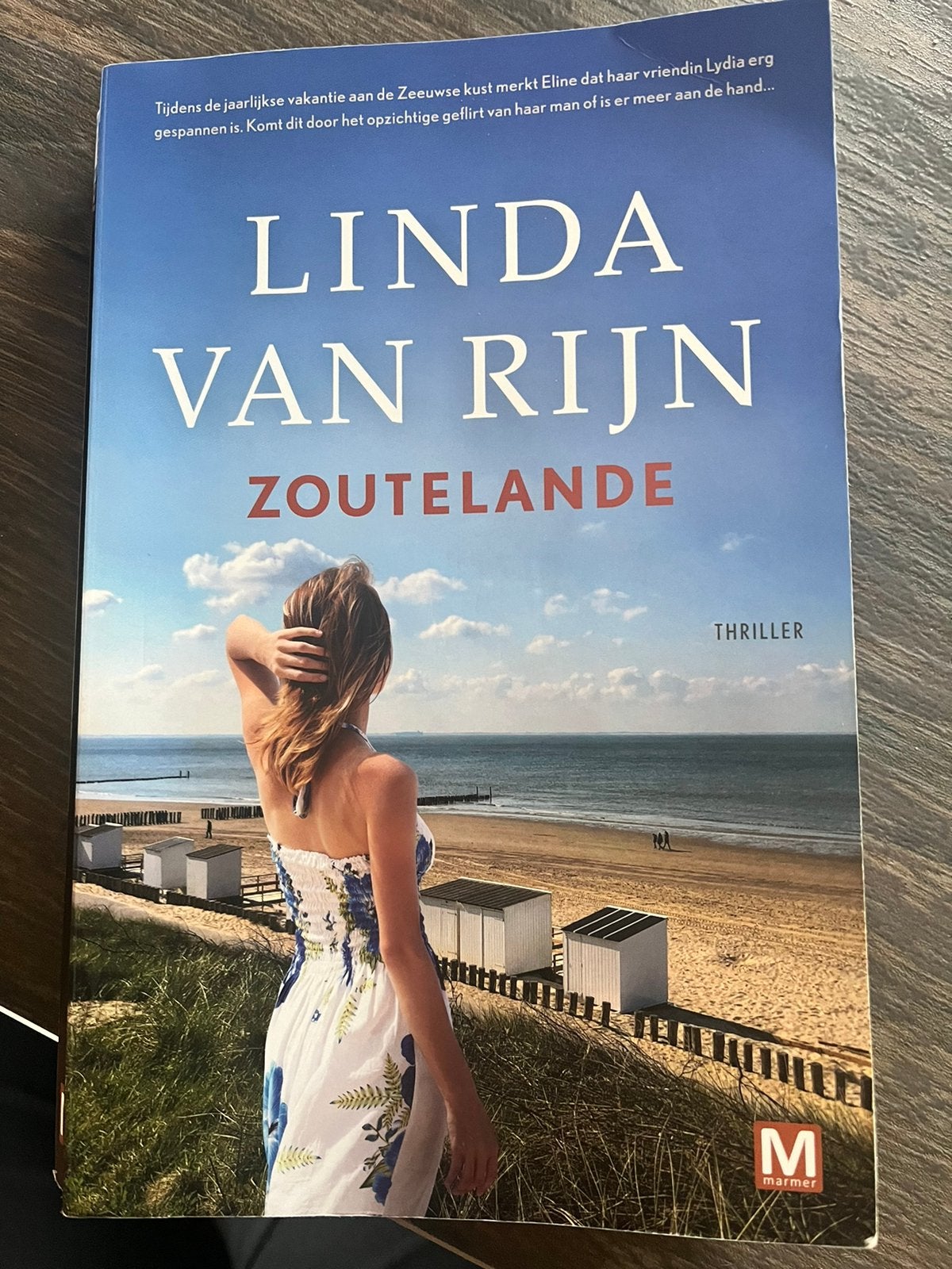 Zoutelande Linda van Rijn, Boeken, Ophalen of Verzenden, Gelezen