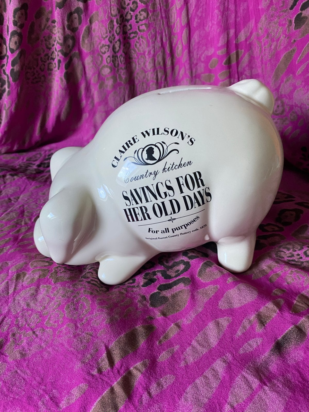 Claire Wilson's spaarpot varken - "Savings for her old days", Ophalen, Zo goed als nieuw, Steen, Aardewerk of Keramiek