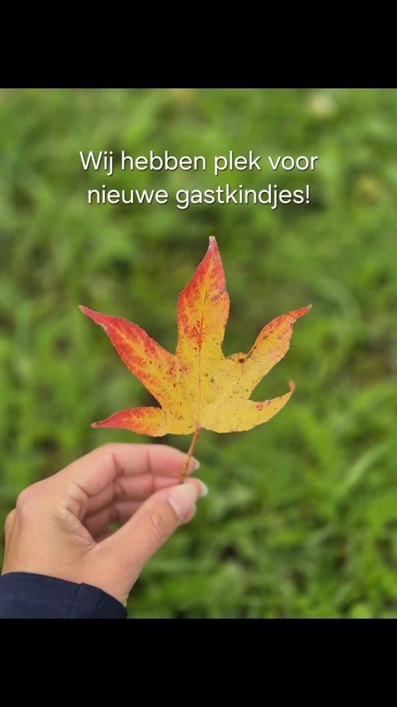 Gastouder opvang / kinderopvang Tilburg Reeshof, Ophalen