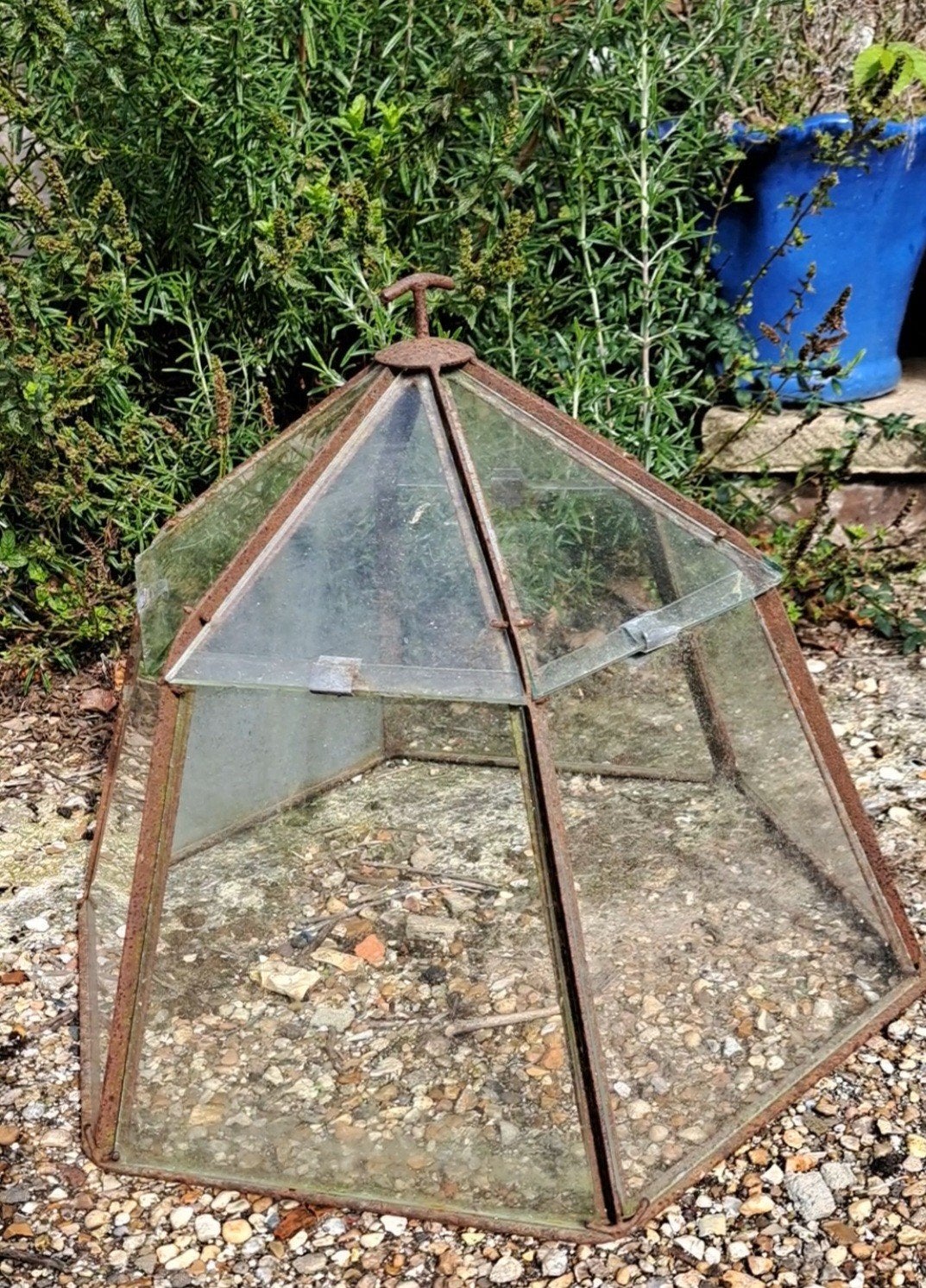 Victoriaanse gardencloche, Ophalen of Verzenden