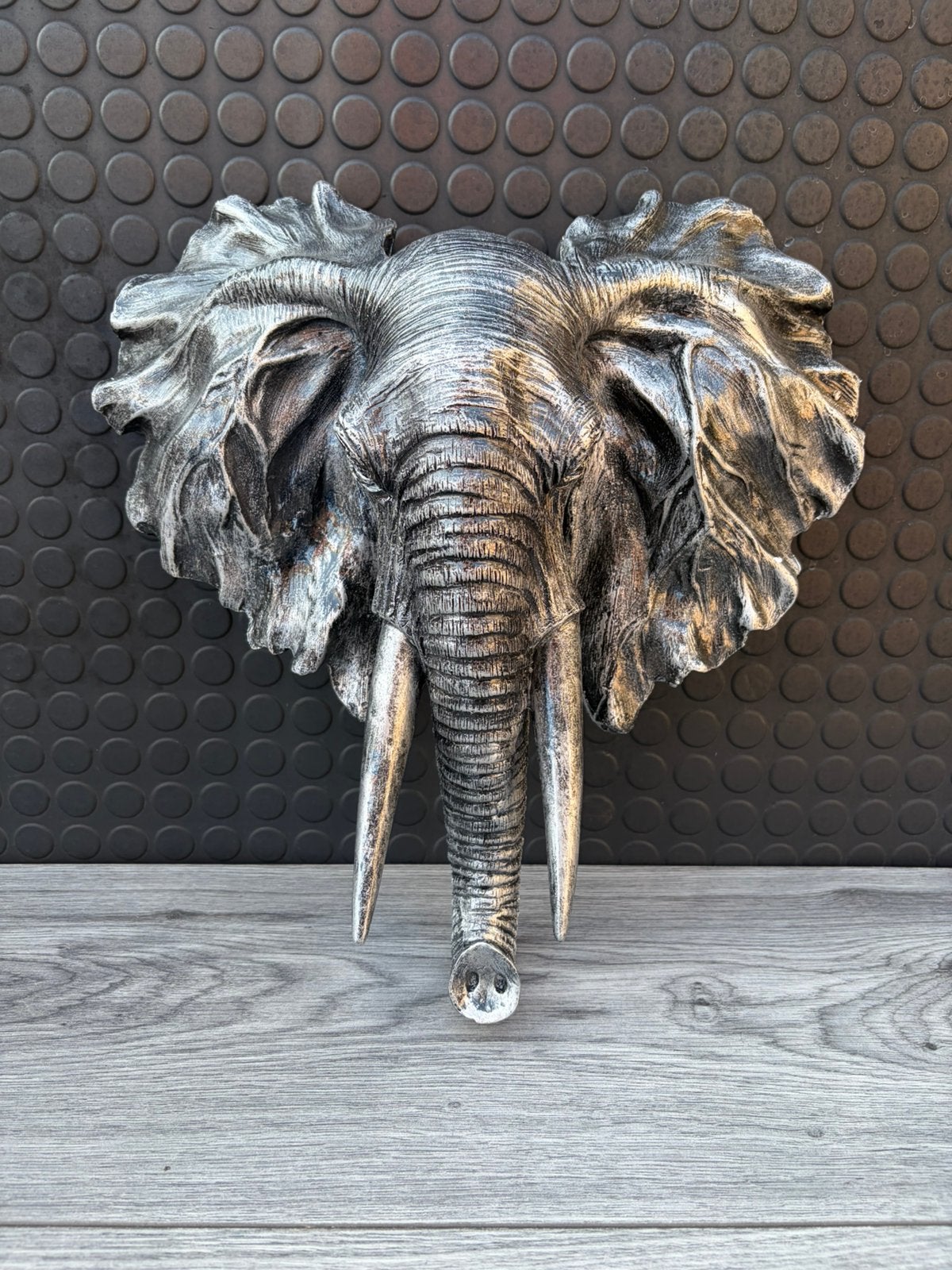 olifant voor aan de muur 40x40cm/Nieuw!, Ophalen of Verzenden, Nieuw