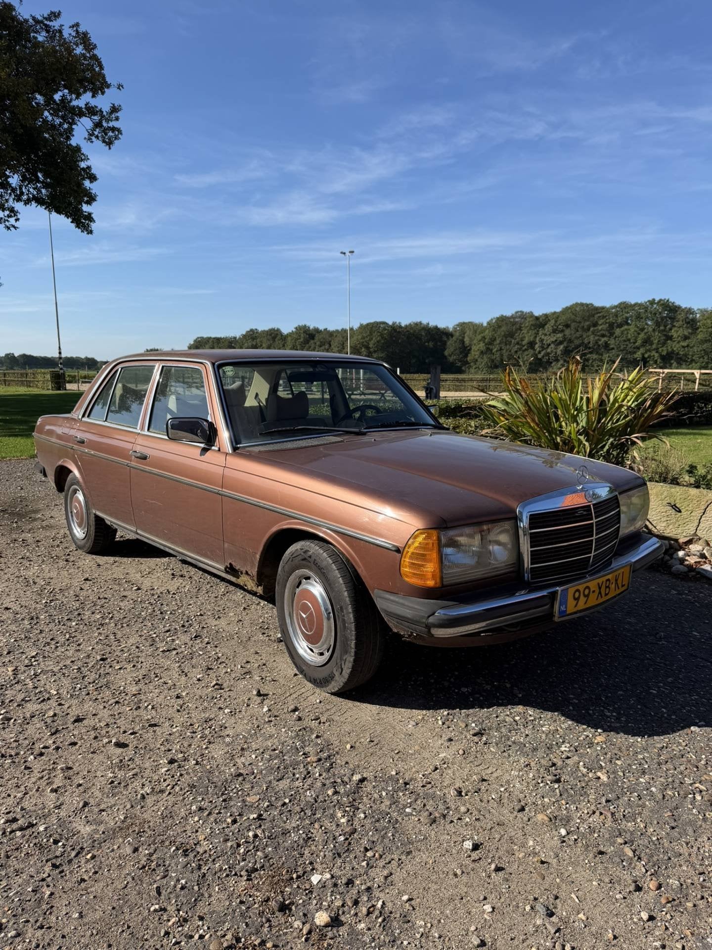 Mercedes-Benz 200-280 (W123) 250 (bj 1978, automaat), Auto's, Automaat, Achterwielaandrijving, 2525 cc, Bruin