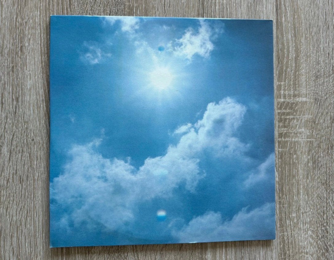 Noir Desir - 666.667 club vinyl, Ophalen of Verzenden, Zo goed als nieuw, 12 inch