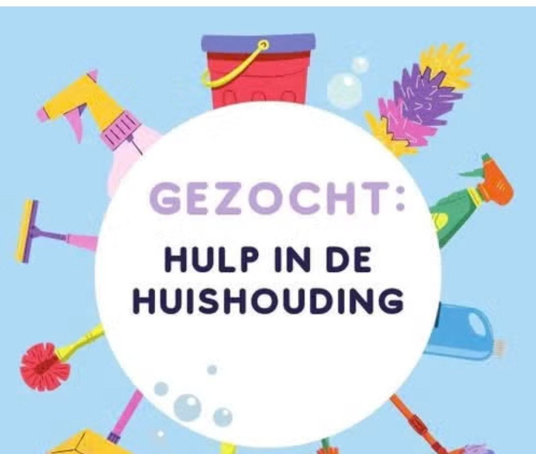 Hulp/huishoudelijke gezocht raalte noord 20 euro p/u, Ophalen of Verzenden