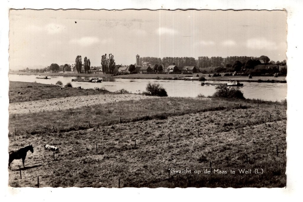 Well aan de Maas Limburg, Ophalen of Verzenden, 1940 tot 1960, Gelopen, Limburg