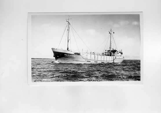 scheepvaart-foto/kaart-DELFZIJL-red.WAGENBORG-waalborg, Ophalen of Verzenden, 1940 tot 1960, Gelderland