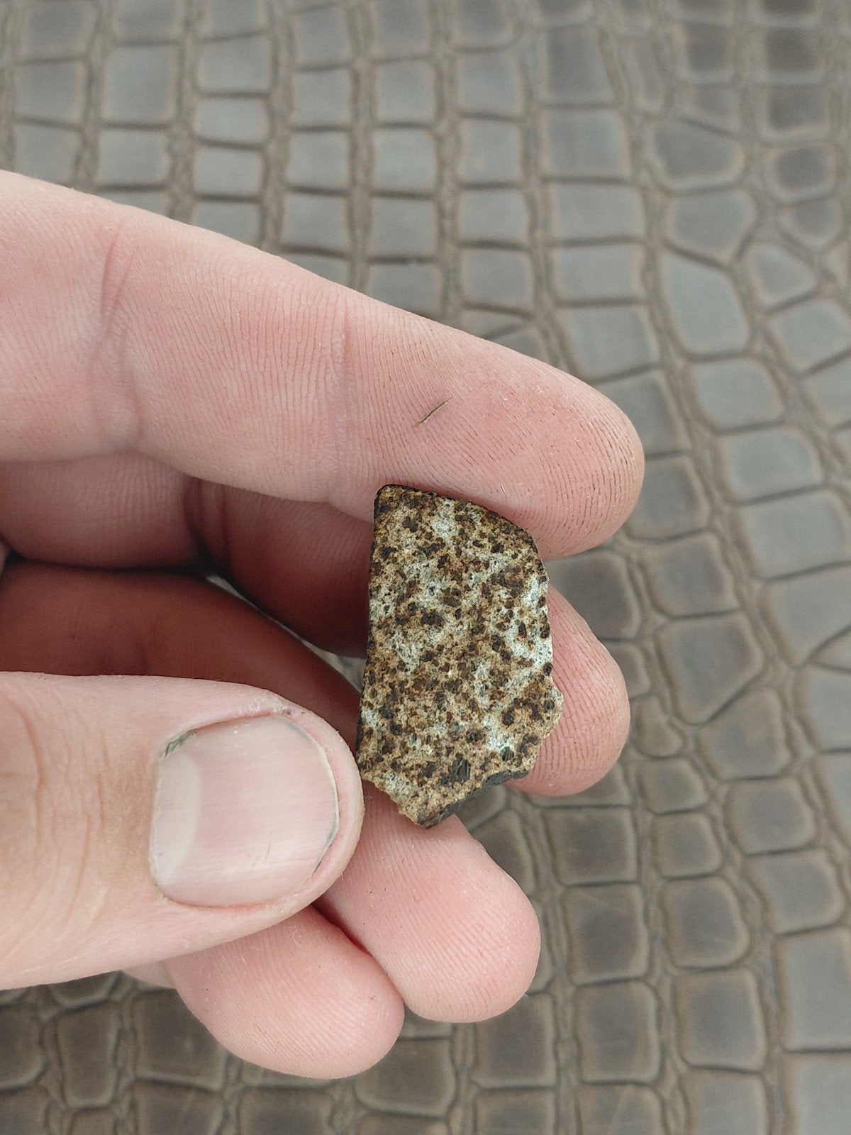 Verzamelstuk Steen Meteoriet Plakje, Verzenden